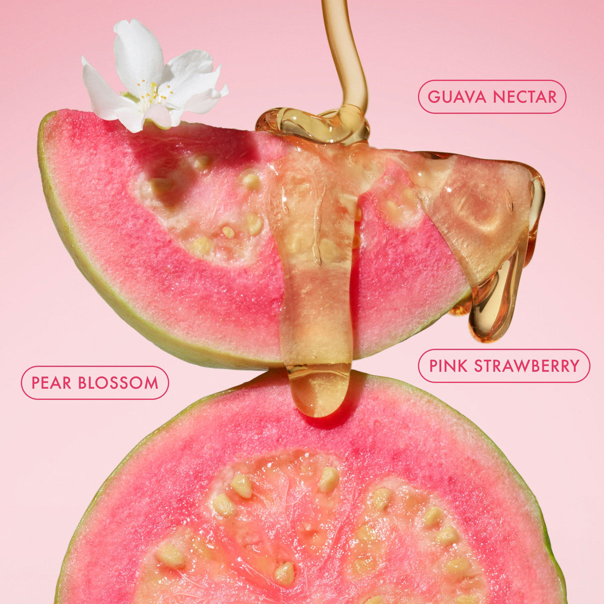 mini-body-butter-trio-s8 BodyButterBalmPinkGuava_3.jpg