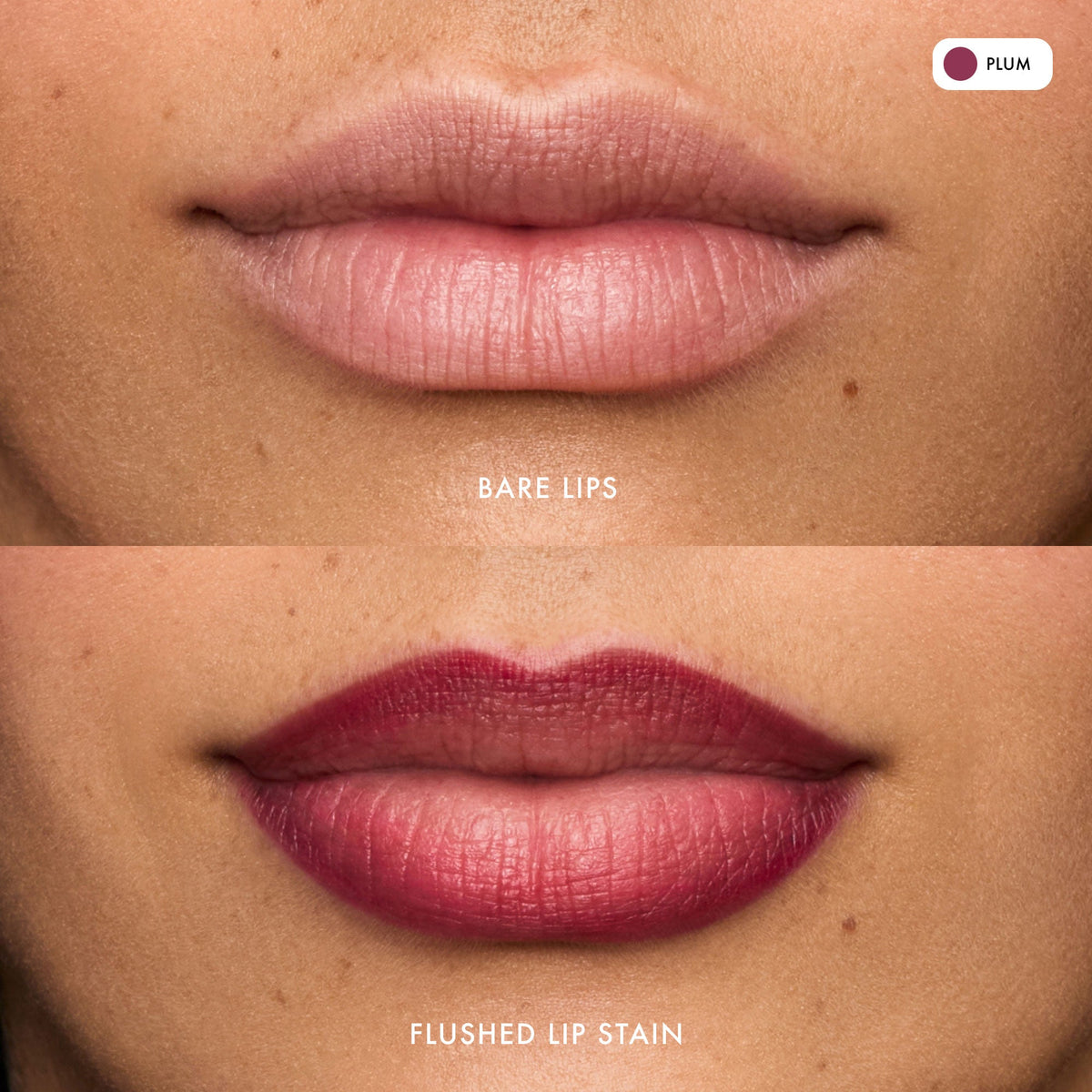 flushed-lip-stain-plum-n8 FlushedLipStain_Plum_B_A.jpg