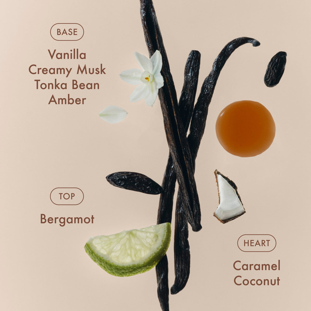 sunlit-vanillatm-eau-de-parfum-j1 SunlitVanilla_4.jpg